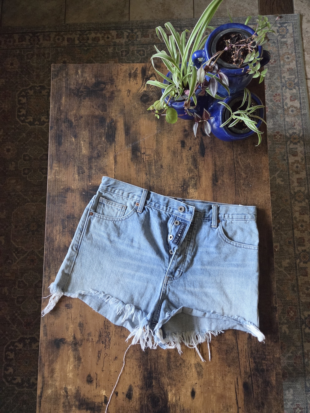Light Blue Denim Cutoff Shorts - Women's Casual Summer Shorts
